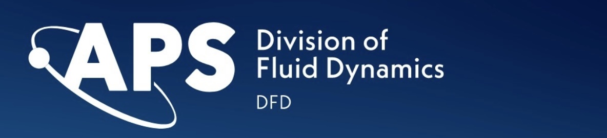 APS DFD 2024 lineup