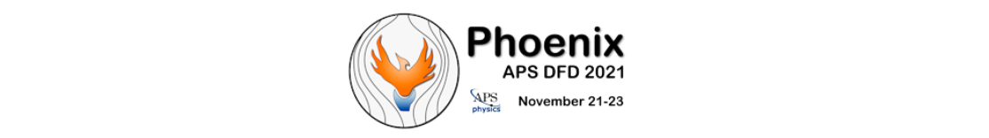 APS DFD 2021