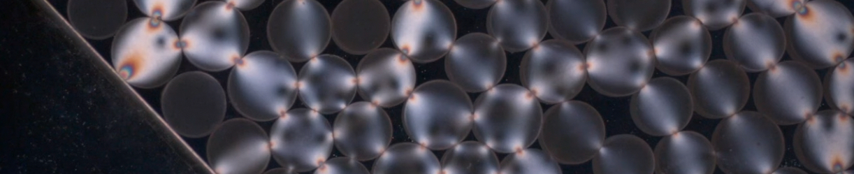 Gallery of Soft Matter 2023