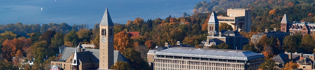 Cornell Fluid Seminar