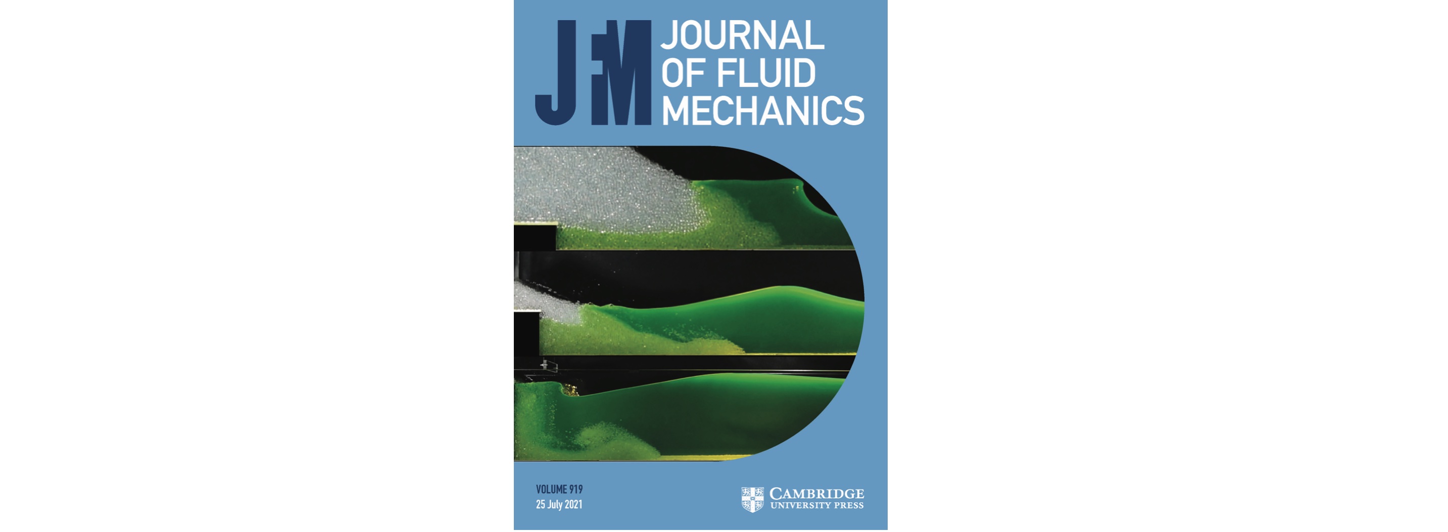 JFM Cover Wave Granular Collapse