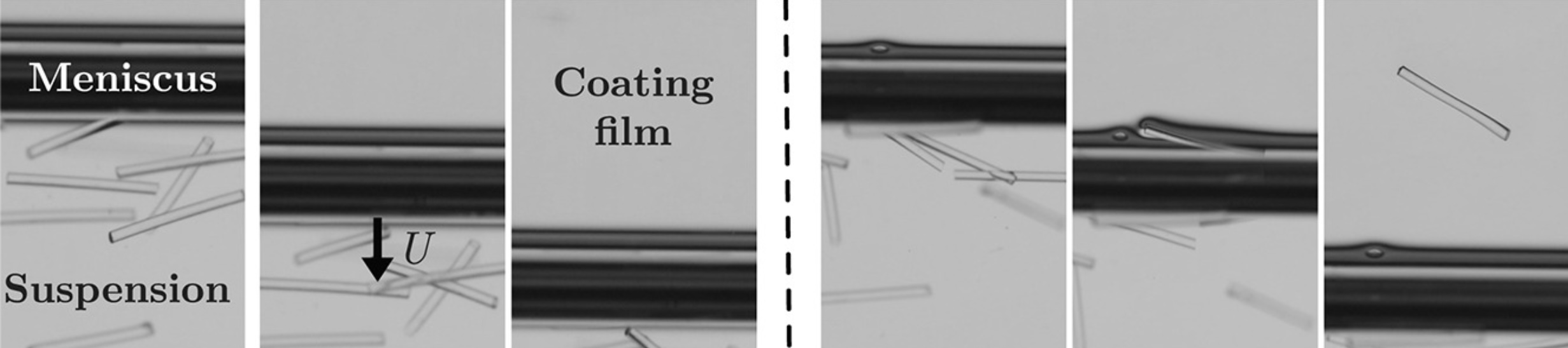 JCIS Dip Coating