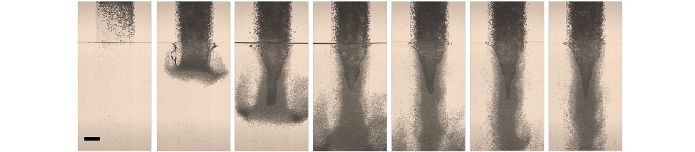 Granular Jet into Water