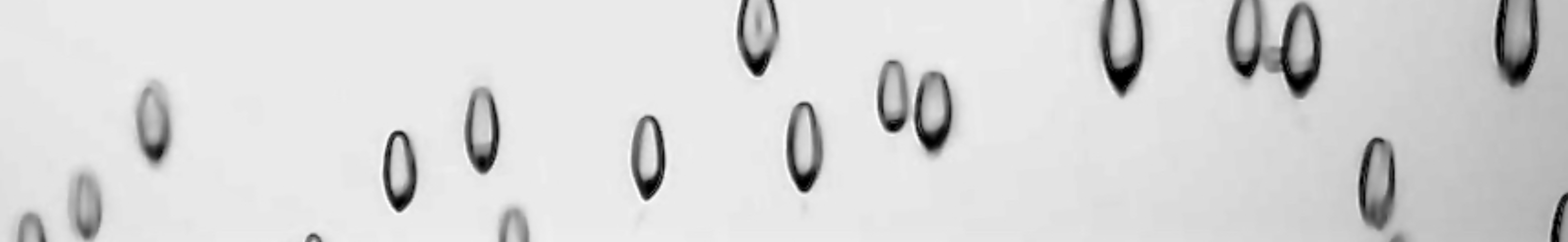 Bubbles Trapped in Ice