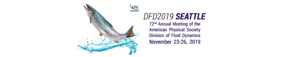 APS DFD 2019 Seattle