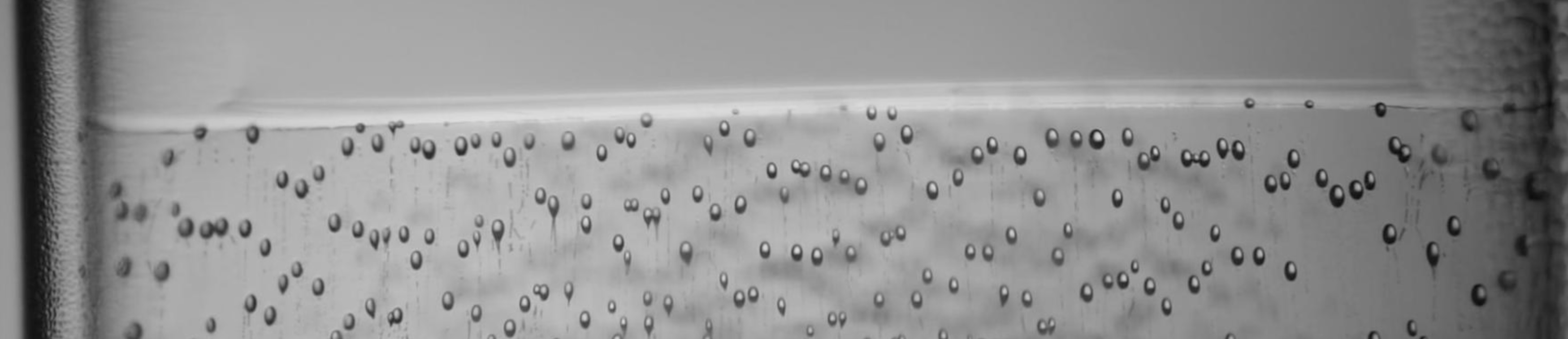 Bubble shapes in ice
