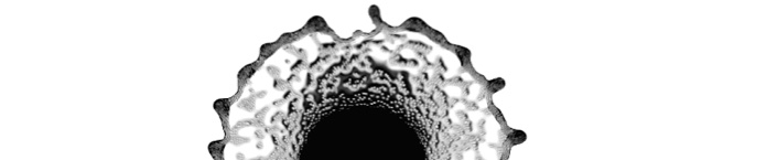 Droplet Spreading Particle-Laden Sheets