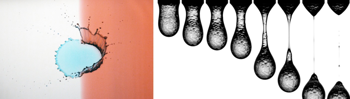Artistic Odyssey Through Science finalists