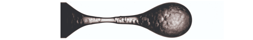 Virgile PNAS Study