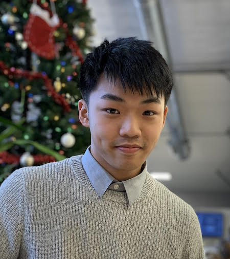 Michael Ka Ho Lee