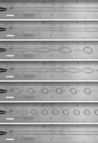 Figure for: Publication