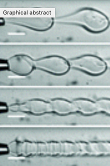 Figure for: Publication