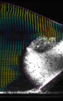 Figure for: Publication