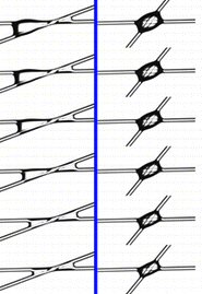 Figure for: Publication