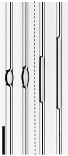 Figure for: Publication