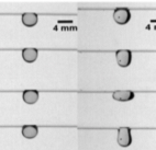 Figure for: Publication