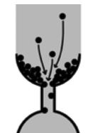 Figure for: Publication