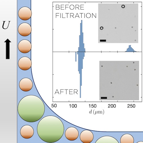 Figure for: Publication