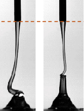 Figure for: Publication