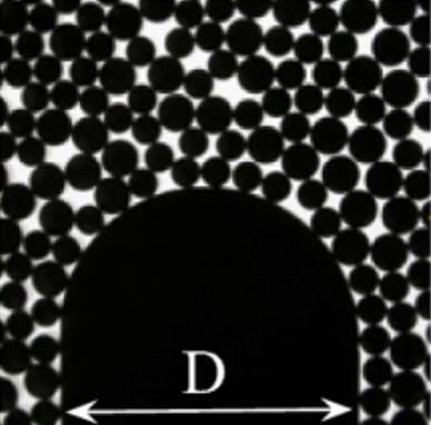 Figure for: Publication