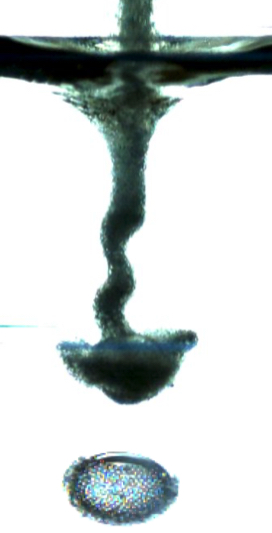 Figure for: Publication