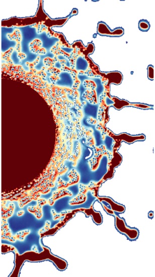 Figure for: Publication