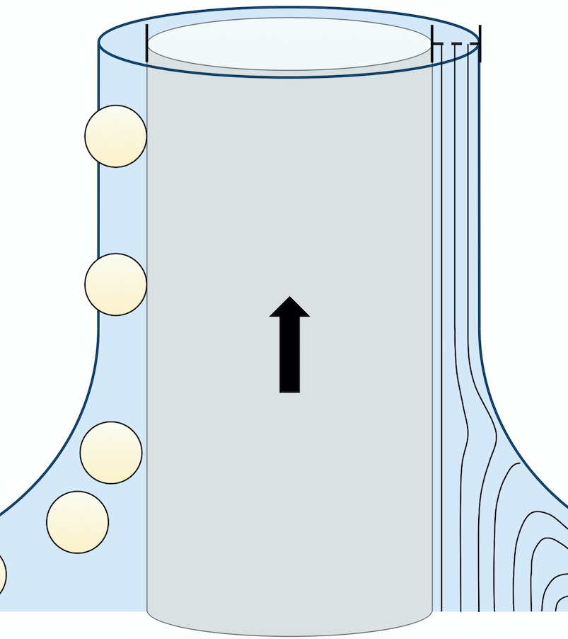 Figure for: Publication