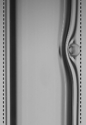 Figure for: Publication