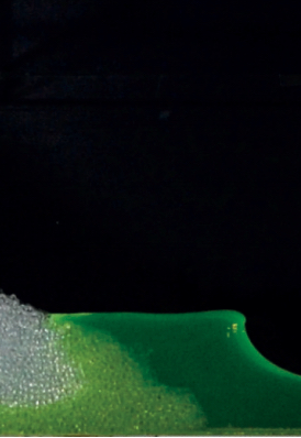 Figure for: Publication