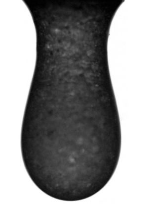 Figure for: Publication