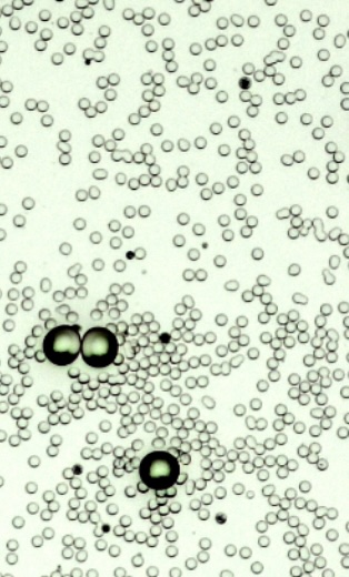 Figure for: Publication