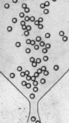 Figure for: Publication