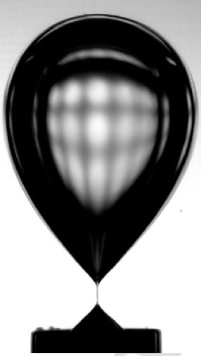 Figure for: Publication