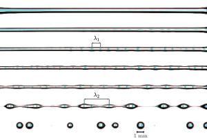 Figure for: Publication