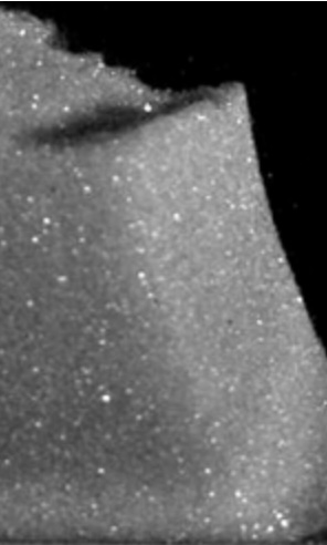 Figure for: Publication