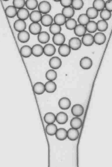 Figure for: Publication