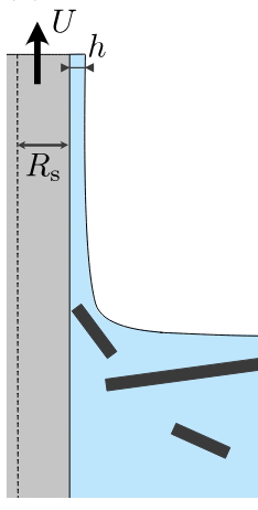 Figure for: Publication