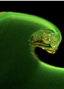 Figure for: Publication