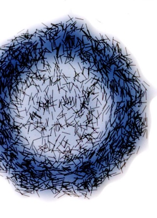 Figure for: Publication