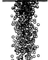 Figure for: Publication