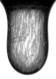 Figure for: Publication