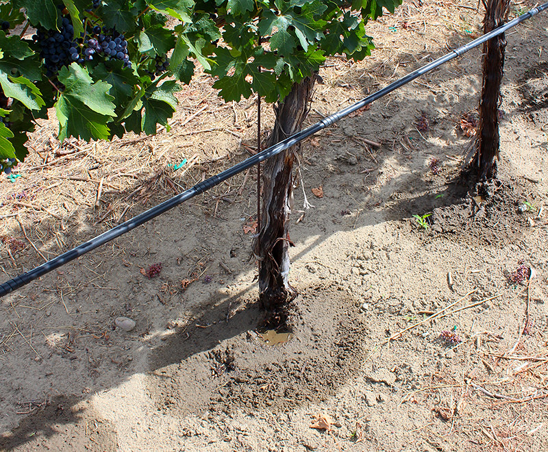 Millifluidic approach to clog-resistant drip irrigation