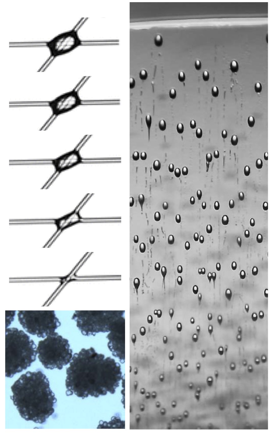 Phase change and heat transfer