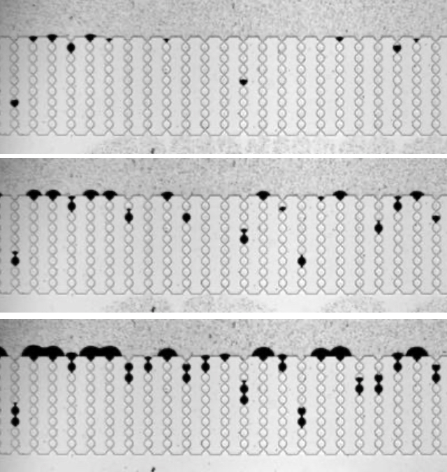 Transport and clogging visualization